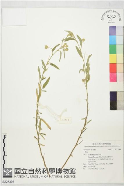 登錄號:S227398藏品圖，第1張