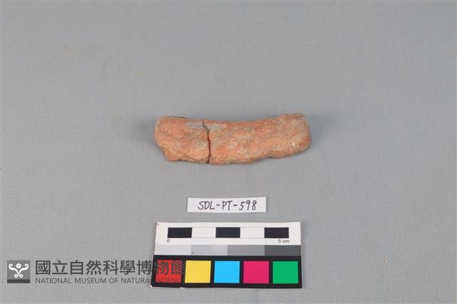 陶網墜藏品圖，第1張