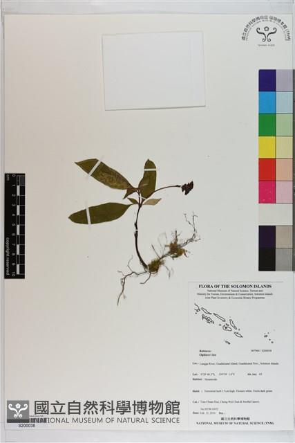 登錄號:S200038藏品圖，第1張