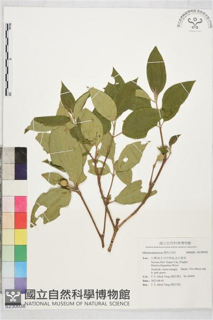 登錄號:S230038藏品圖，第1張