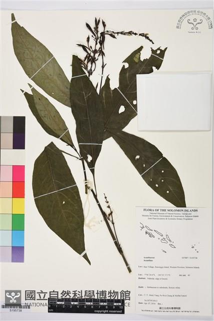 登錄號:S195738藏品圖，第1張