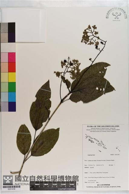 登錄號:S201238藏品圖，第1張