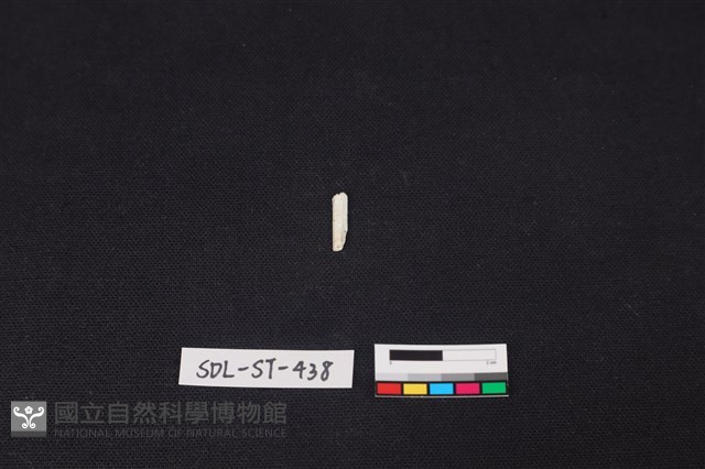 玉飾藏品圖，第1張