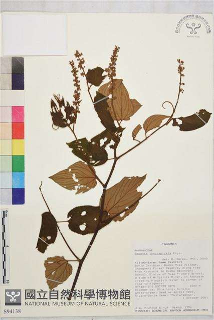 登錄號:S094138藏品圖，第1張