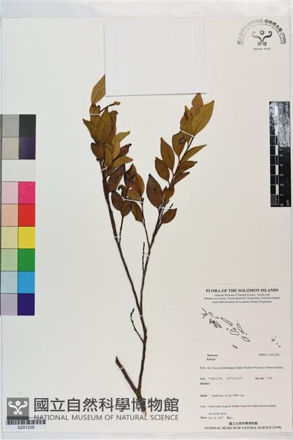 登錄號:S201338藏品圖，第1張