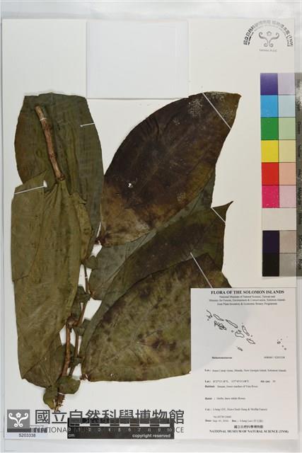 登錄號:S203338藏品圖，第1張