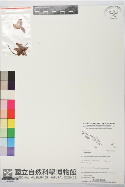 登錄號:S195838藏品圖，第1張