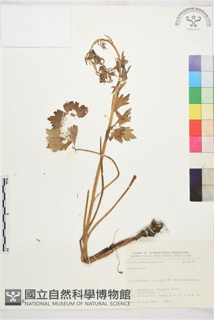 登錄號:S031668藏品圖，第1張