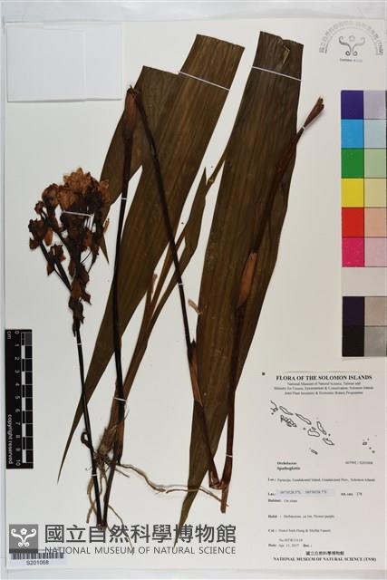 登錄號:S201068藏品圖，第1張