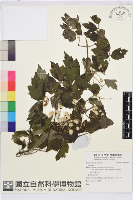 登錄號:S138068藏品圖，第1張