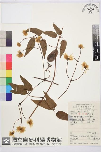 山木通藏品圖，第1張