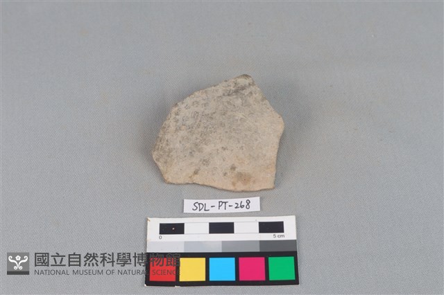 陶片藏品圖，第1張