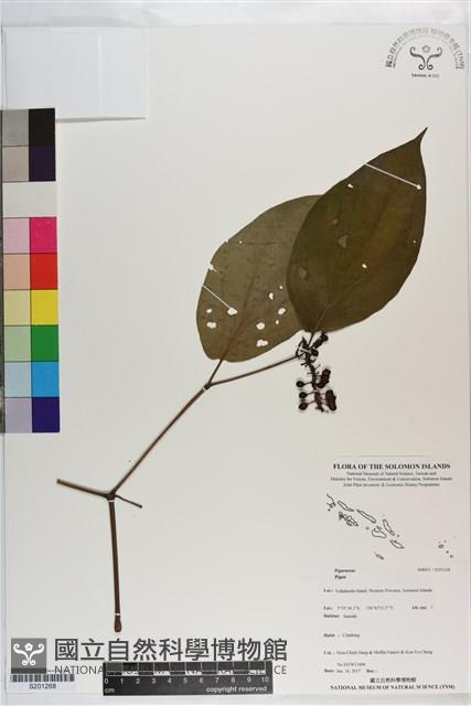 登錄號:S201268藏品圖，第1張