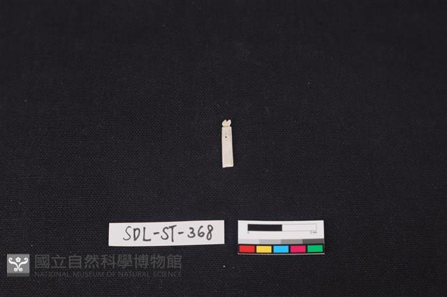 玉飾藏品圖，第1張