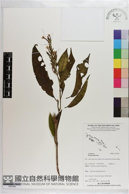 登錄號:S203368藏品圖，第1張