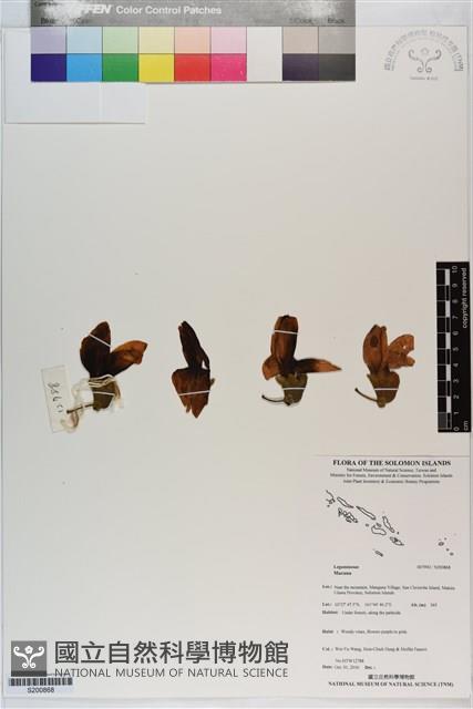 登錄號:S200868藏品圖，第1張