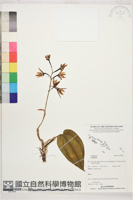 登錄號:S207868藏品圖，第1張