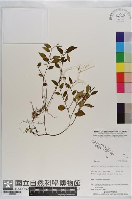 登錄號:S200968藏品圖，第1張