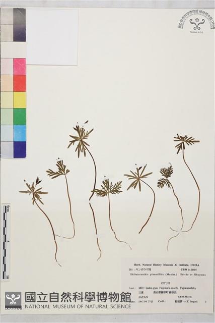 登錄號:S039968藏品圖，第1張