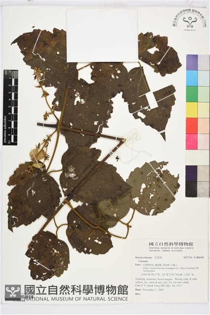登錄號:S186648藏品圖，第1張