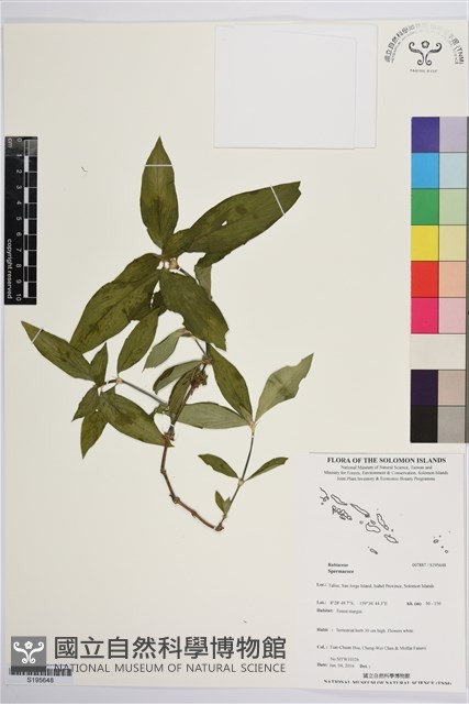 登錄號:S195648藏品圖，第1張