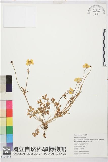 登錄號:S174648藏品圖，第1張