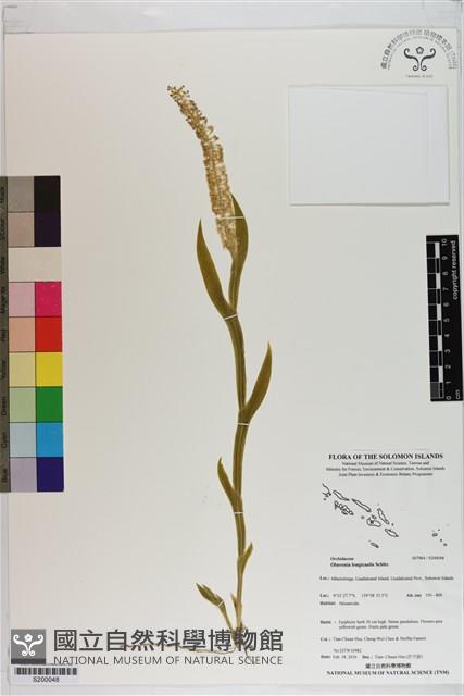 登錄號:S200048藏品圖，第1張