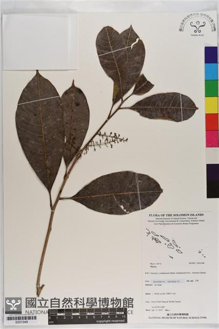 登錄號:S201048藏品圖，第1張