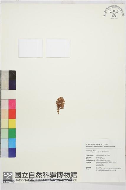 登錄號:S220748藏品圖，第1張