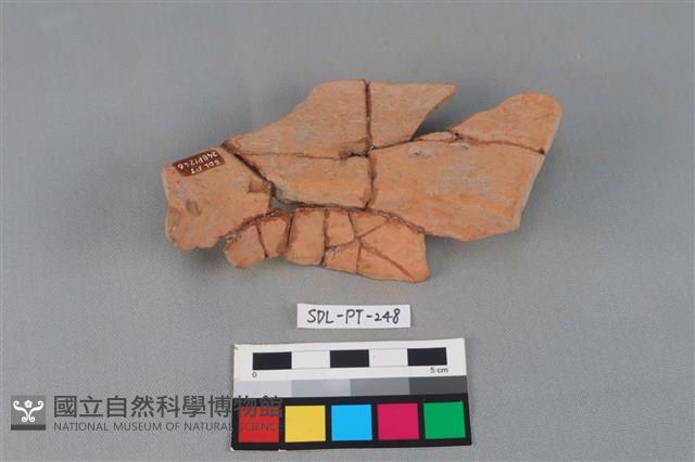 連杯形器藏品圖，第1張