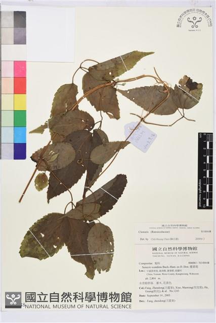 登錄號:S140448藏品圖，第1張