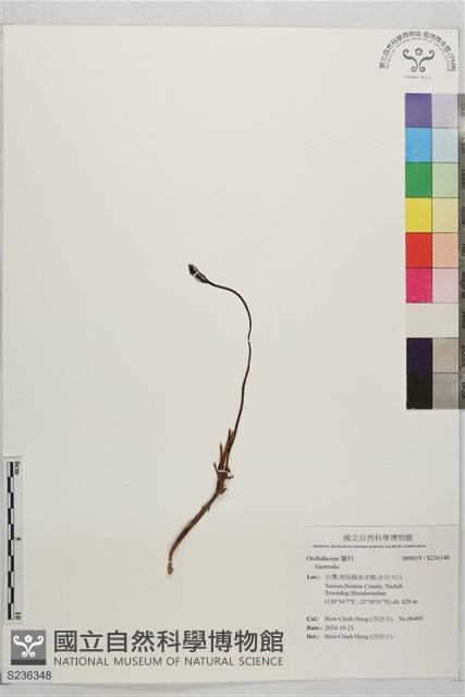 登錄號:S236348藏品圖，第1張