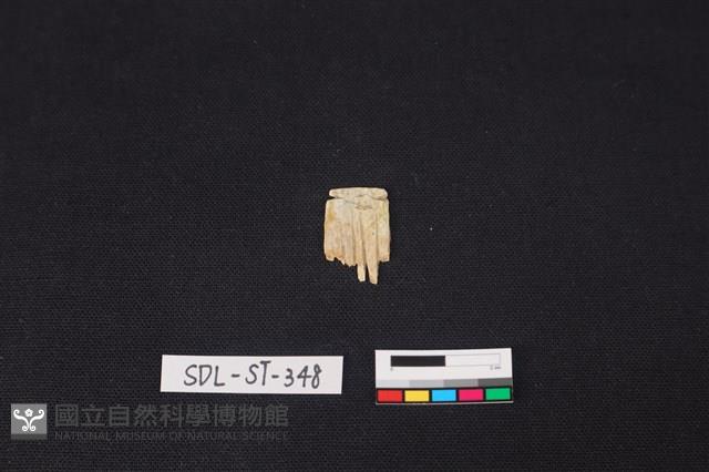 玉飾藏品圖，第1張