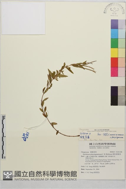 登錄號:S101348藏品圖，第1張