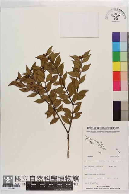 登錄號:S201348藏品圖，第1張