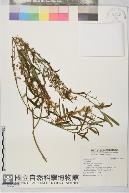 野百合藏品圖，第1張