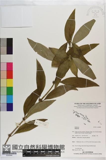 登錄號:S200848藏品圖，第1張