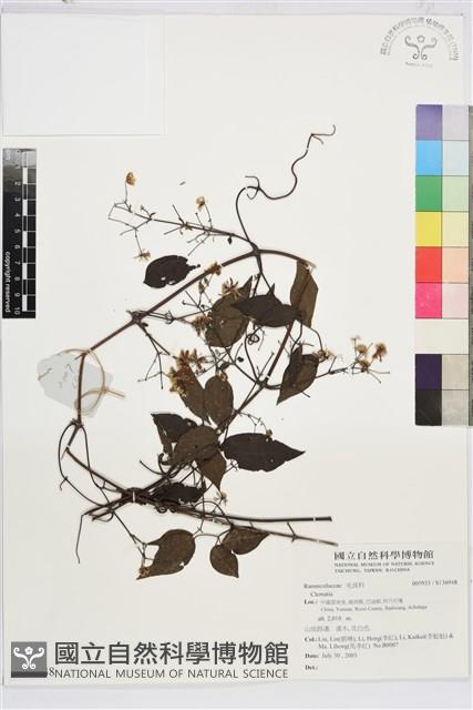 登錄號:S136948藏品圖，第1張