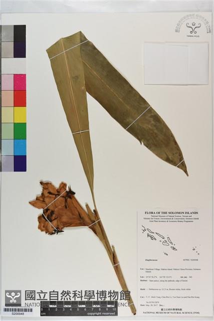 登錄號:S200948藏品圖，第1張