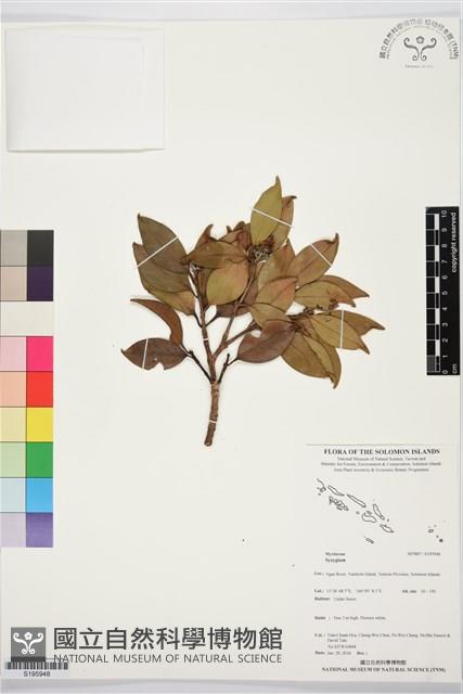 登錄號:S195948藏品圖，第1張