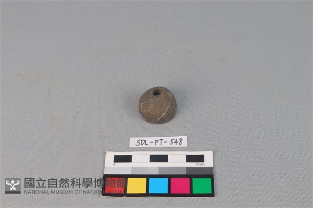 紡輪藏品圖，第1張