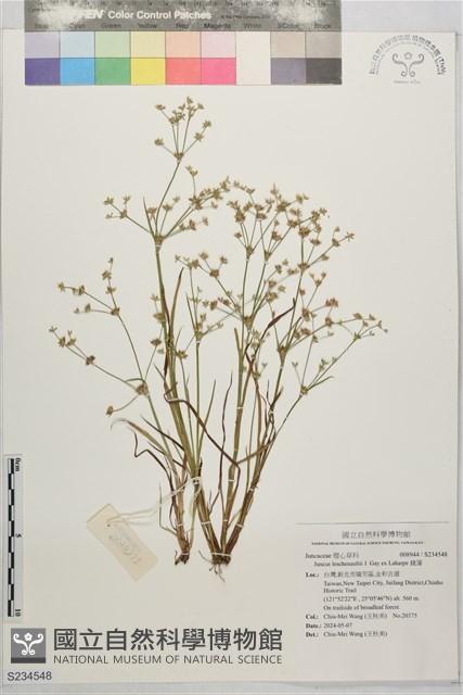 錢蒲藏品圖，第1張