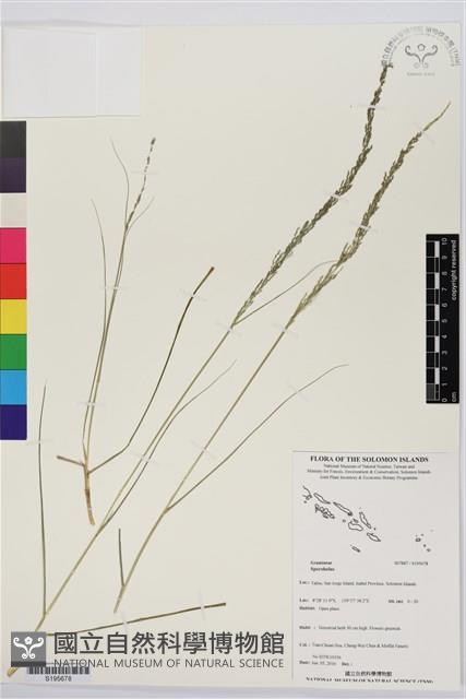登錄號:S195678藏品圖，第1張