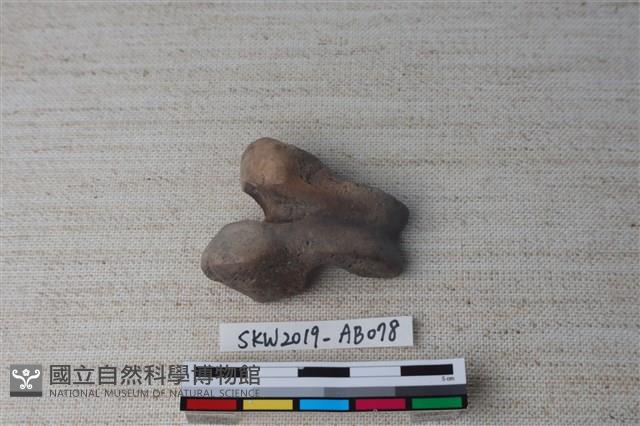 獸骨藏品圖，第1張