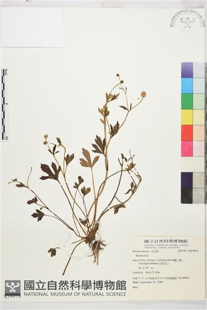 登錄號:S059078藏品圖，第1張