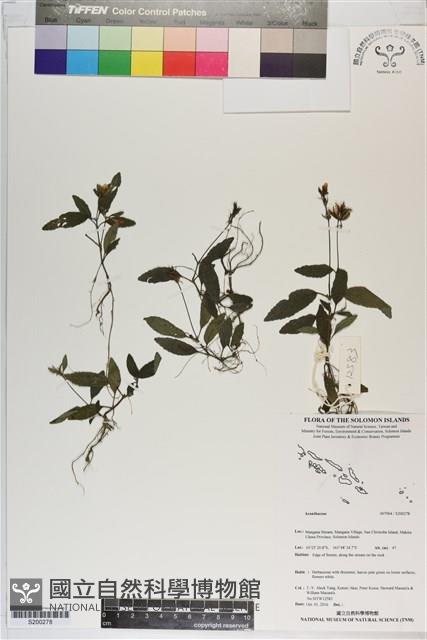 登錄號:S200278藏品圖，第1張