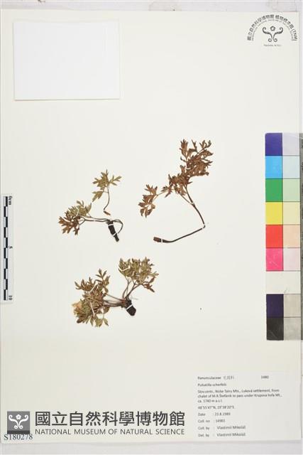 登錄號:S180278藏品圖，第1張