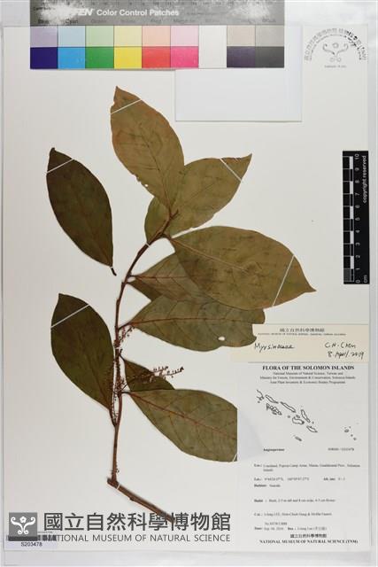 登錄號:S203478藏品圖，第1張