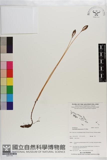 登錄號:S201178藏品圖，第1張