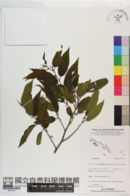 登錄號:S201378藏品圖，第1張